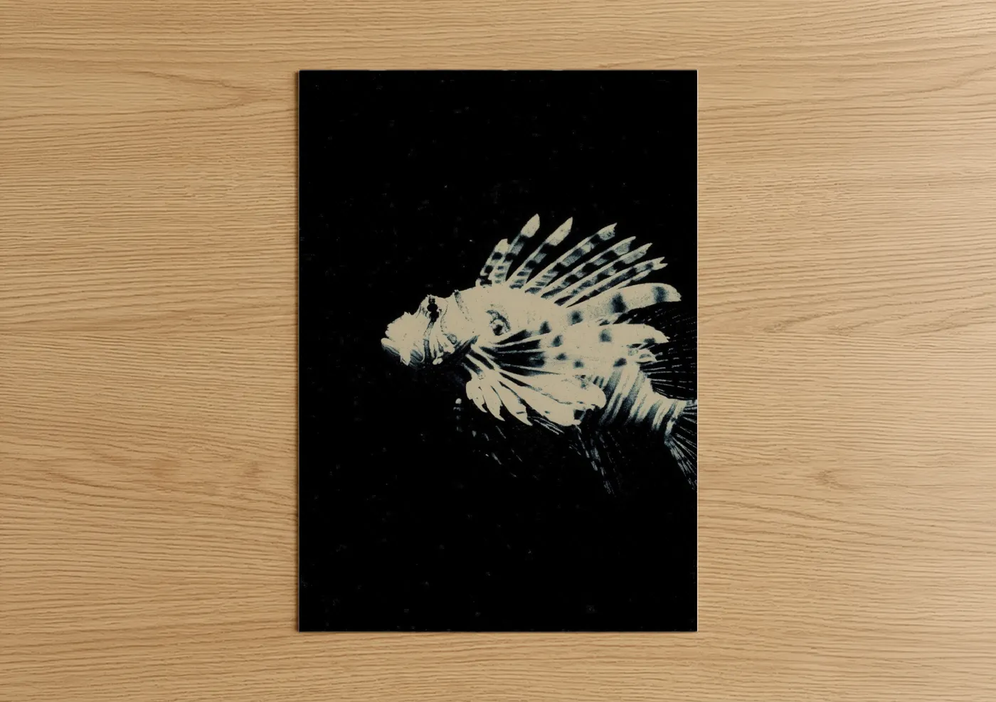 Art print on warm oak wood — black and white and cream palette — Phantom Lionfish poster