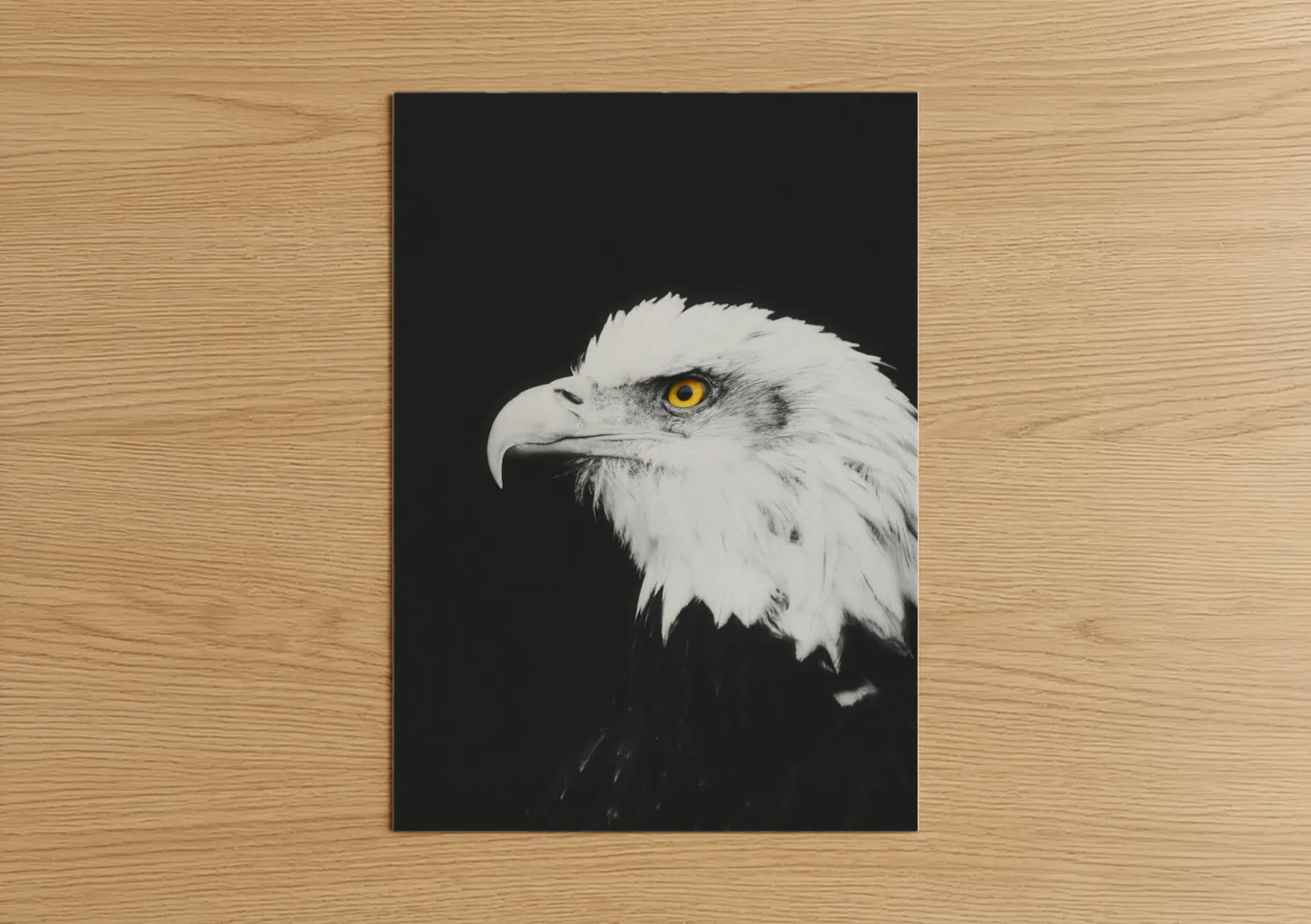 Art print on warm oak wood — black and white palette — Golden Eagle Portrait poster