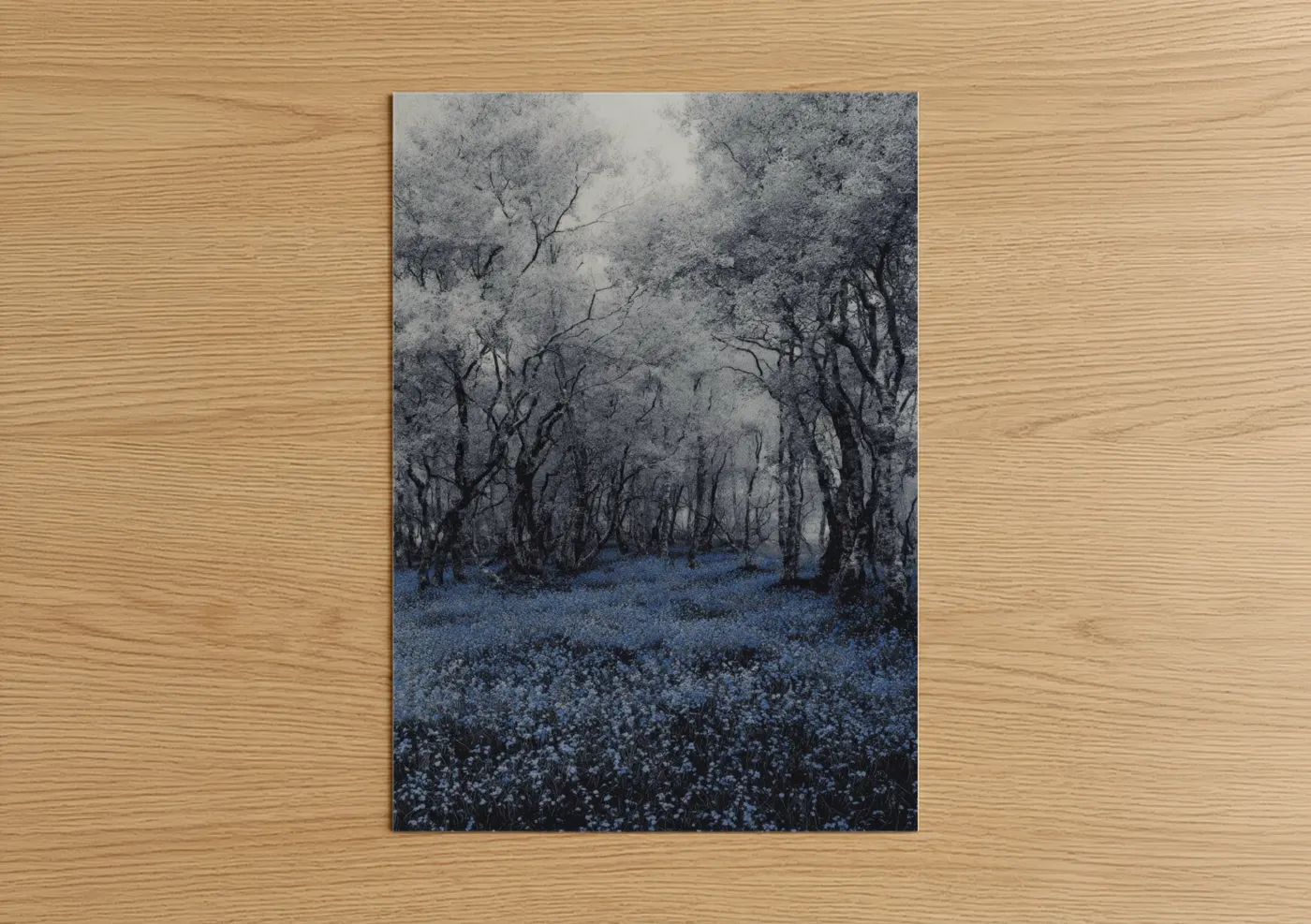 Dreamscape art print on warm oak wood — blue and white and gray palette — Enchanted Forest Bloom poster
