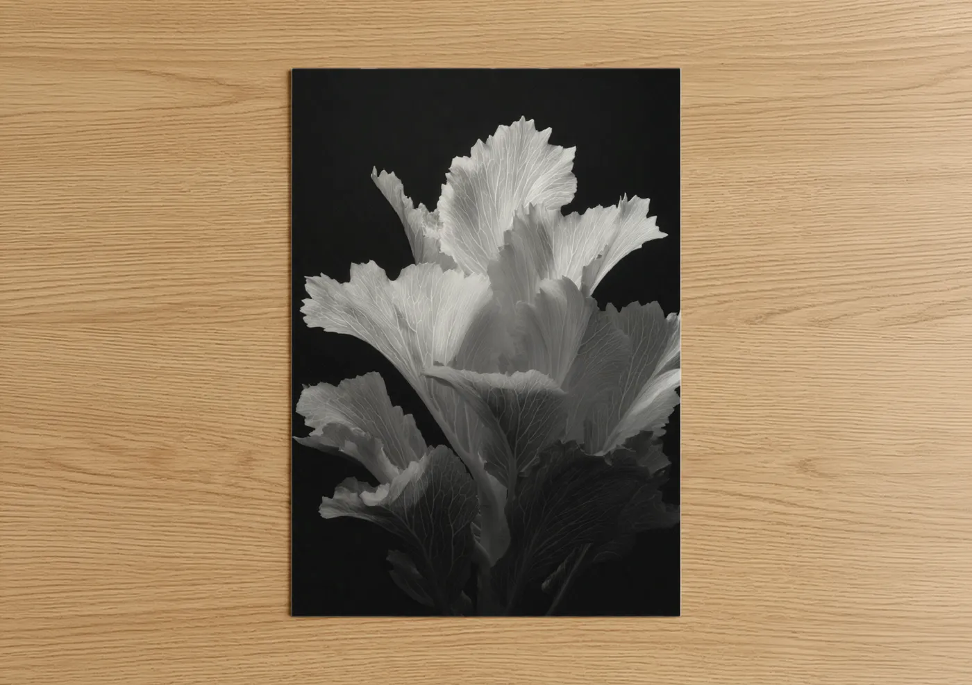 Monochrome Iris Black and White Floral Wall Art