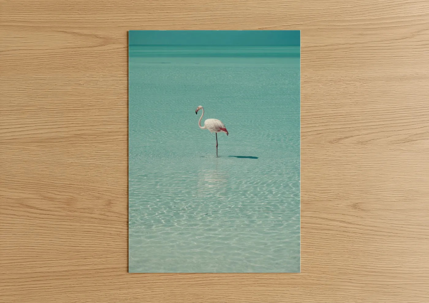 Pink Flamingo Tropical Waters Wall Art