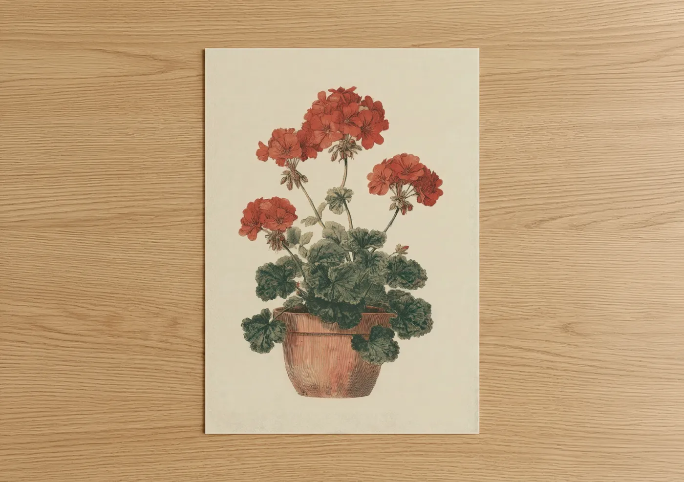 Red Geranium in Terracotta Pot Wall Art