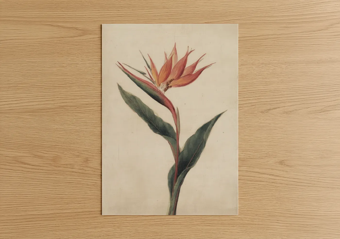 Crimson Bird of Paradise Botanical Wall Art