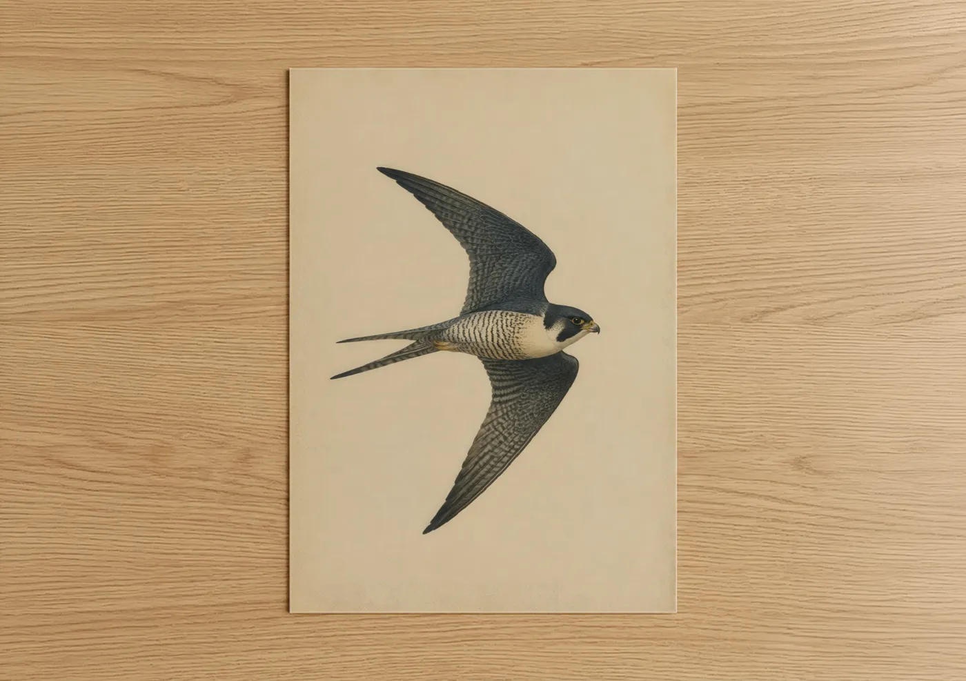 Birds art print on warm oak wood — beige and black and white palette — Flying Falcon Bird Wall Art poster