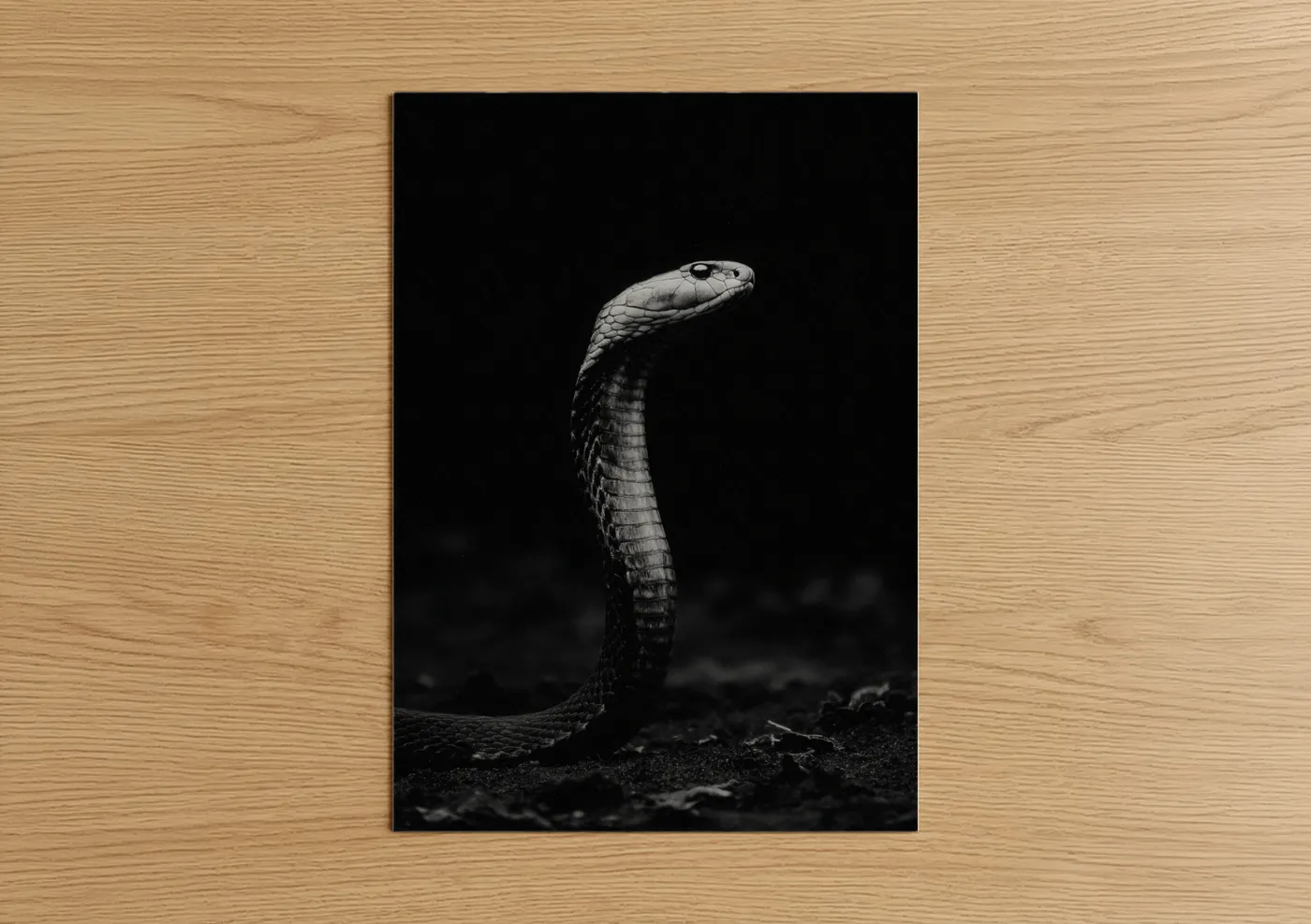 Striking Cobra Black and White Portrait Wall Art