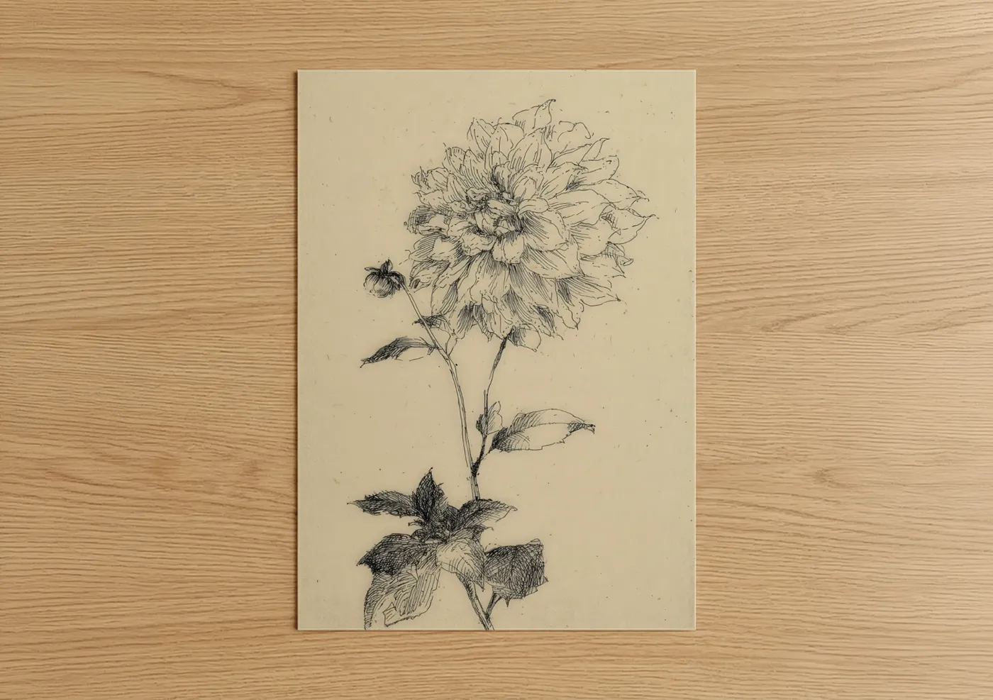 Art print on warm oak wood — black and white and beige palette — Botanical Dahlia poster