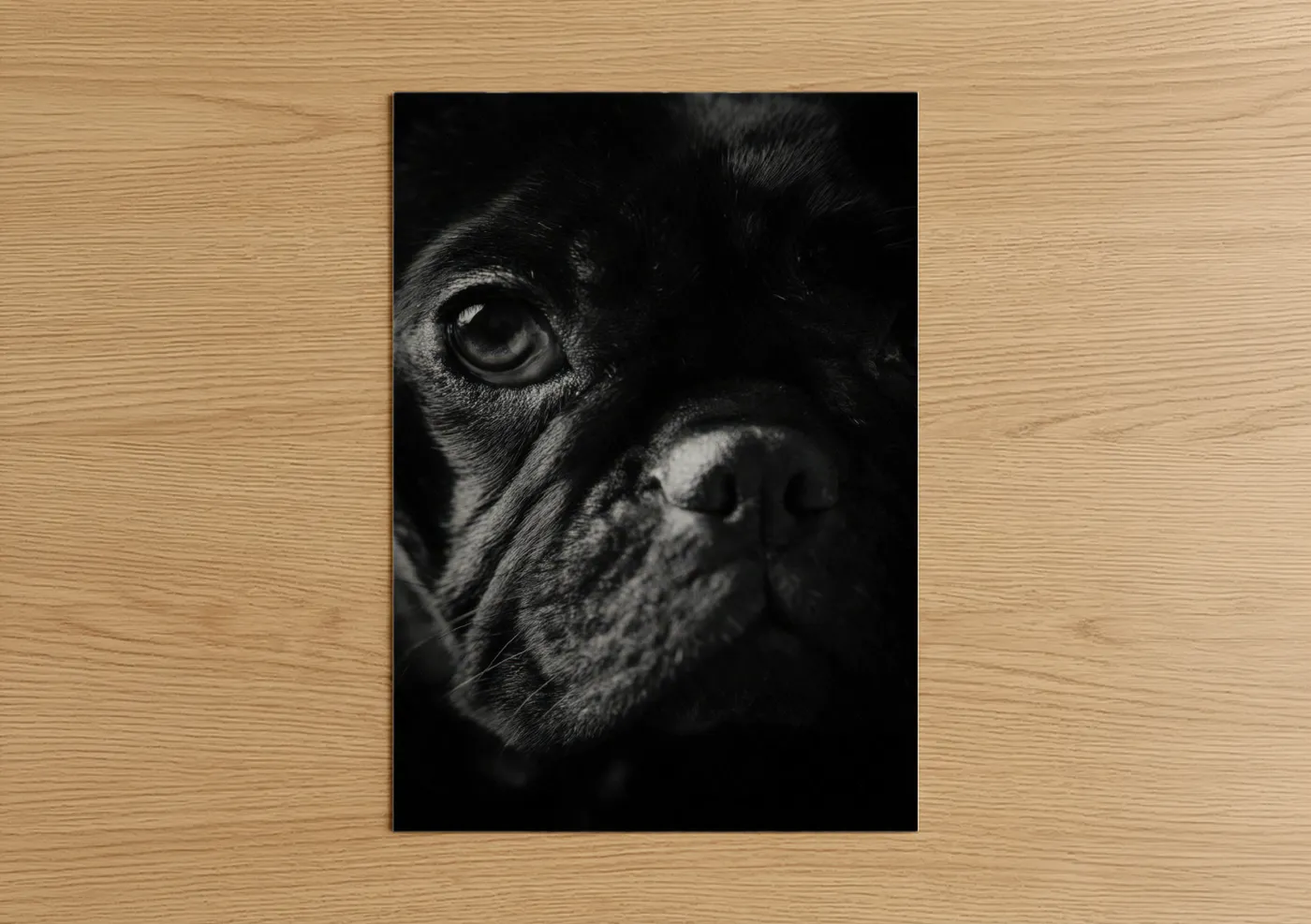 Art print on warm oak wood — black and white palette — Contemplative Bulldog poster