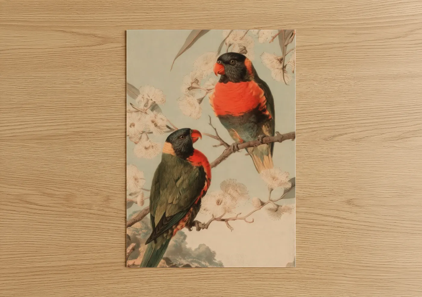 Rainbow Lorikeet Pair Botanical Wall Art
