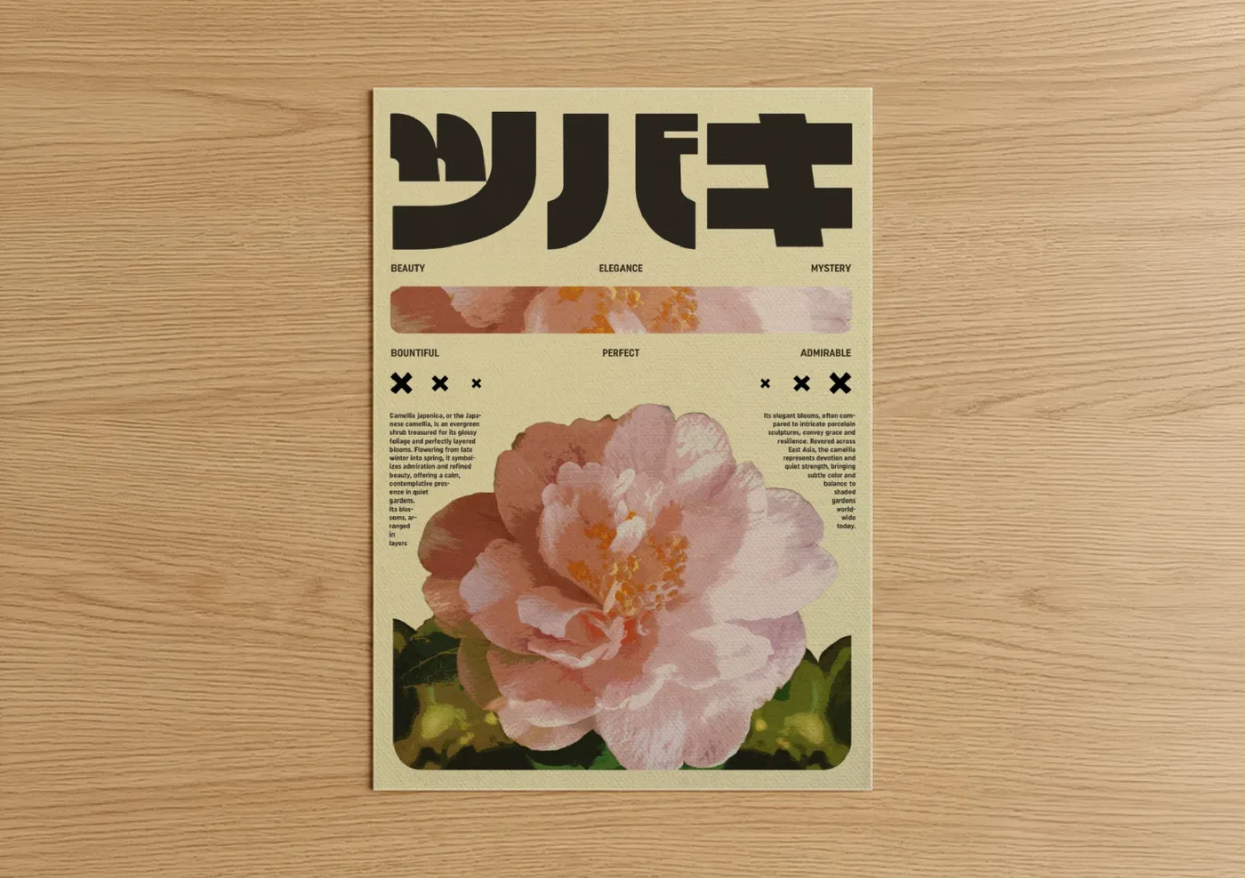 Japanese y2k art print on warm oak wood — salmon pink and cream palette — Camellia Y2K poster