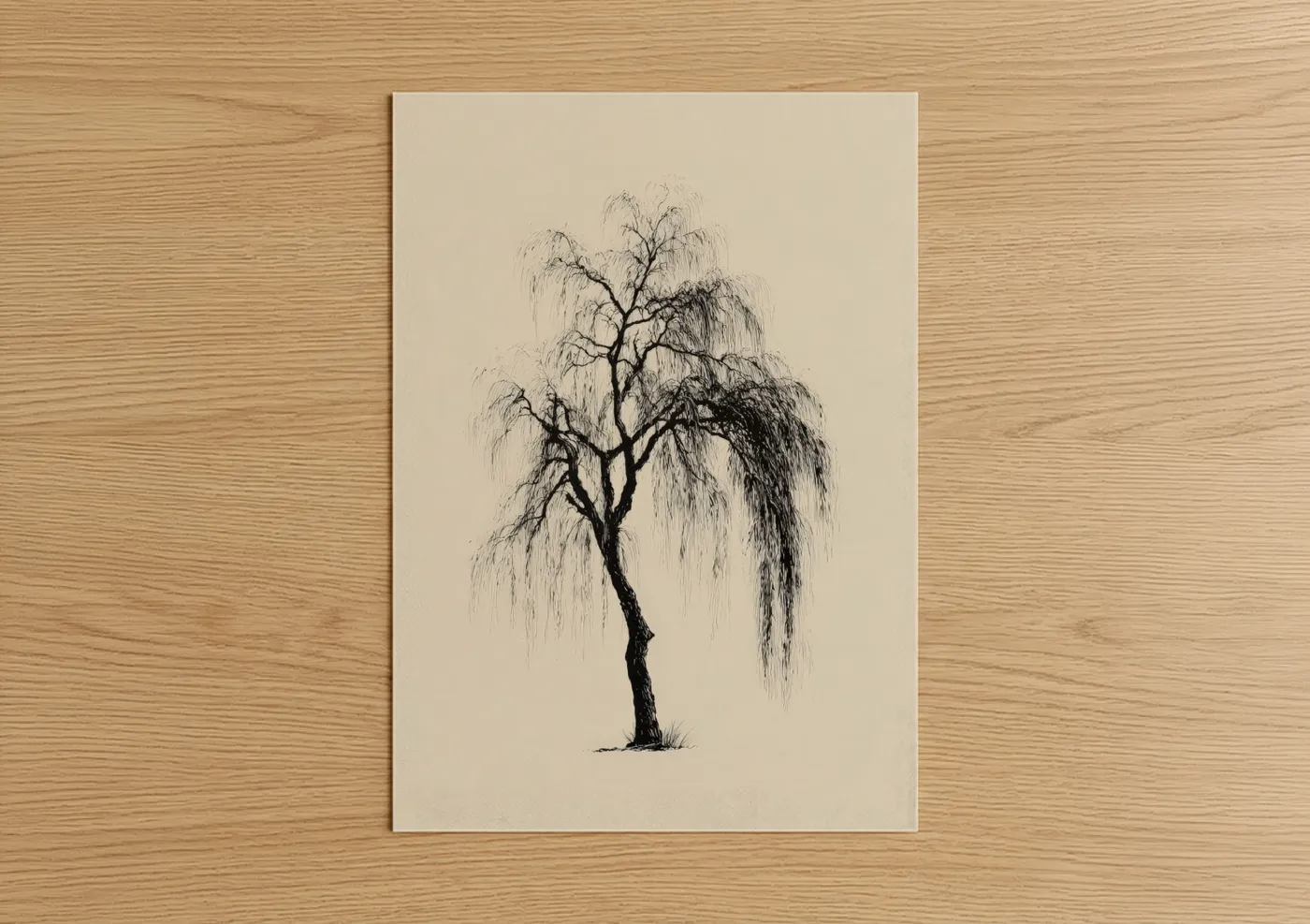 Willow tree art print on warm oak wood — black and white and cream palette — Weeping Willow poster
