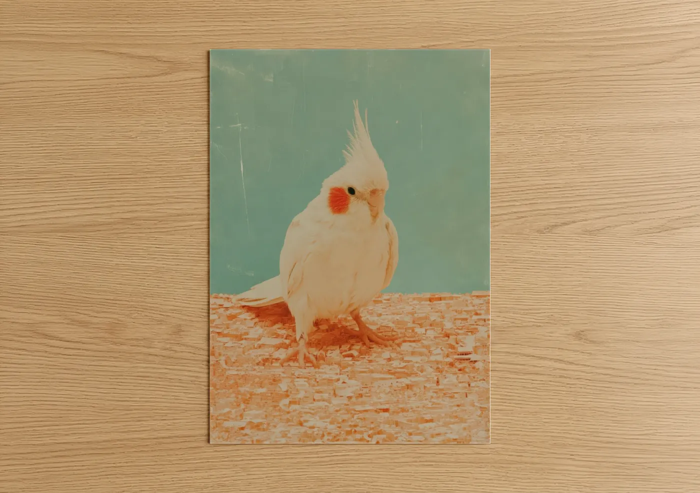 Cream Cockatiel Portrait Modern Wall Art