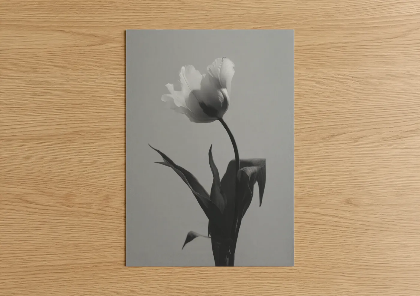 Monochrome Tulip Black and White Flower Wall Art