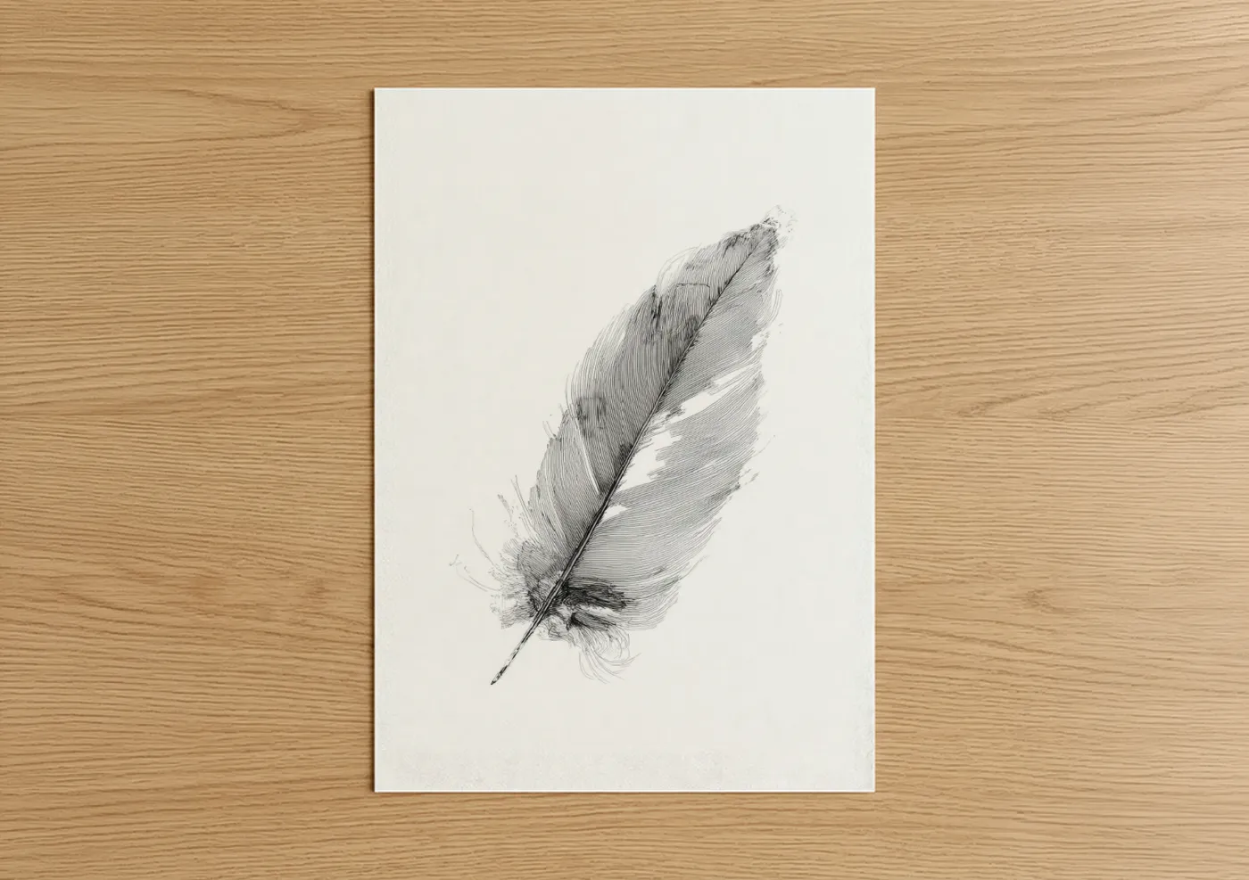 Minimalist Feather Line Drawing Wall Art