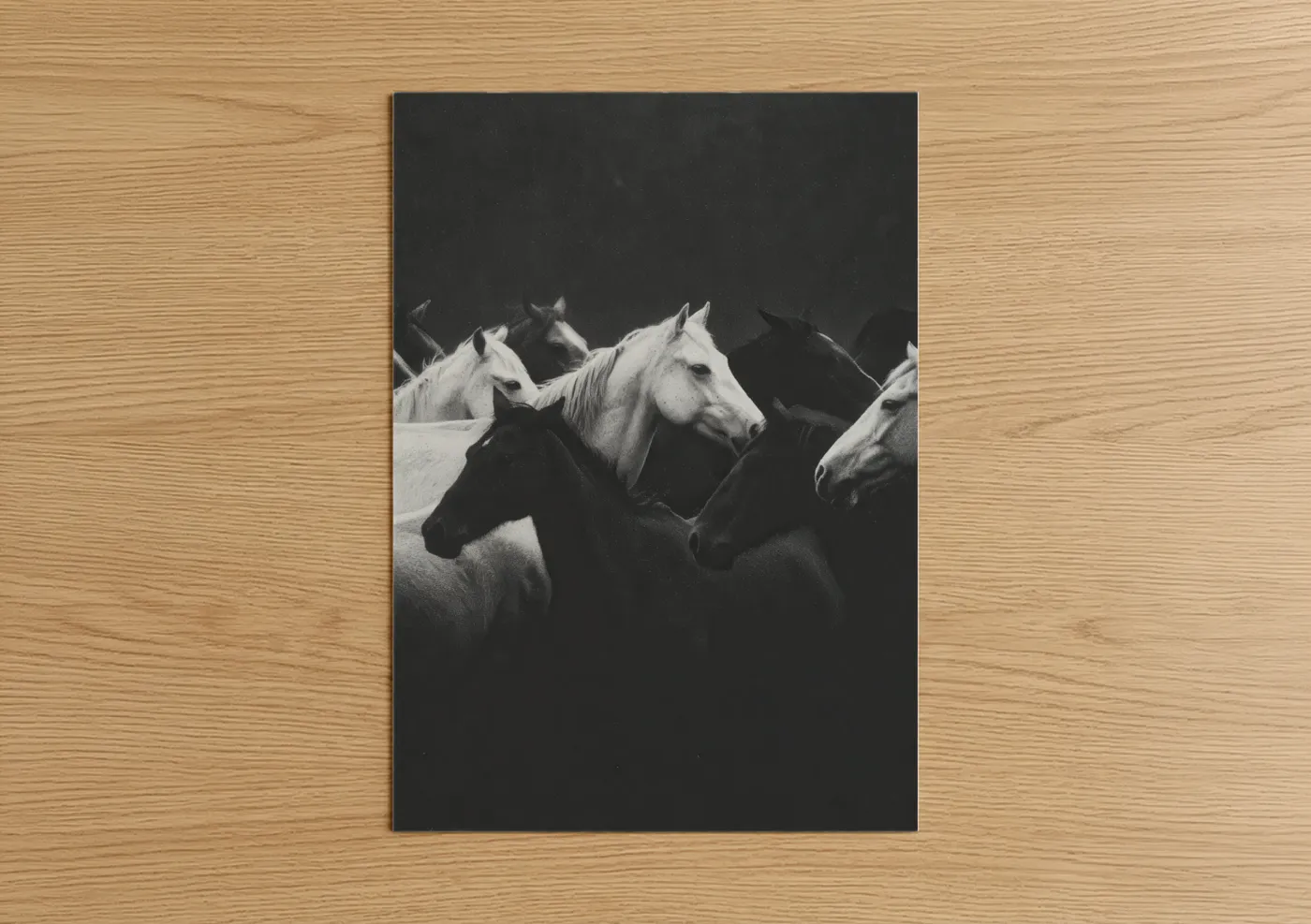 Horse racing art print on warm oak wood — black and white palette — Dramatic Horse Herd poster
