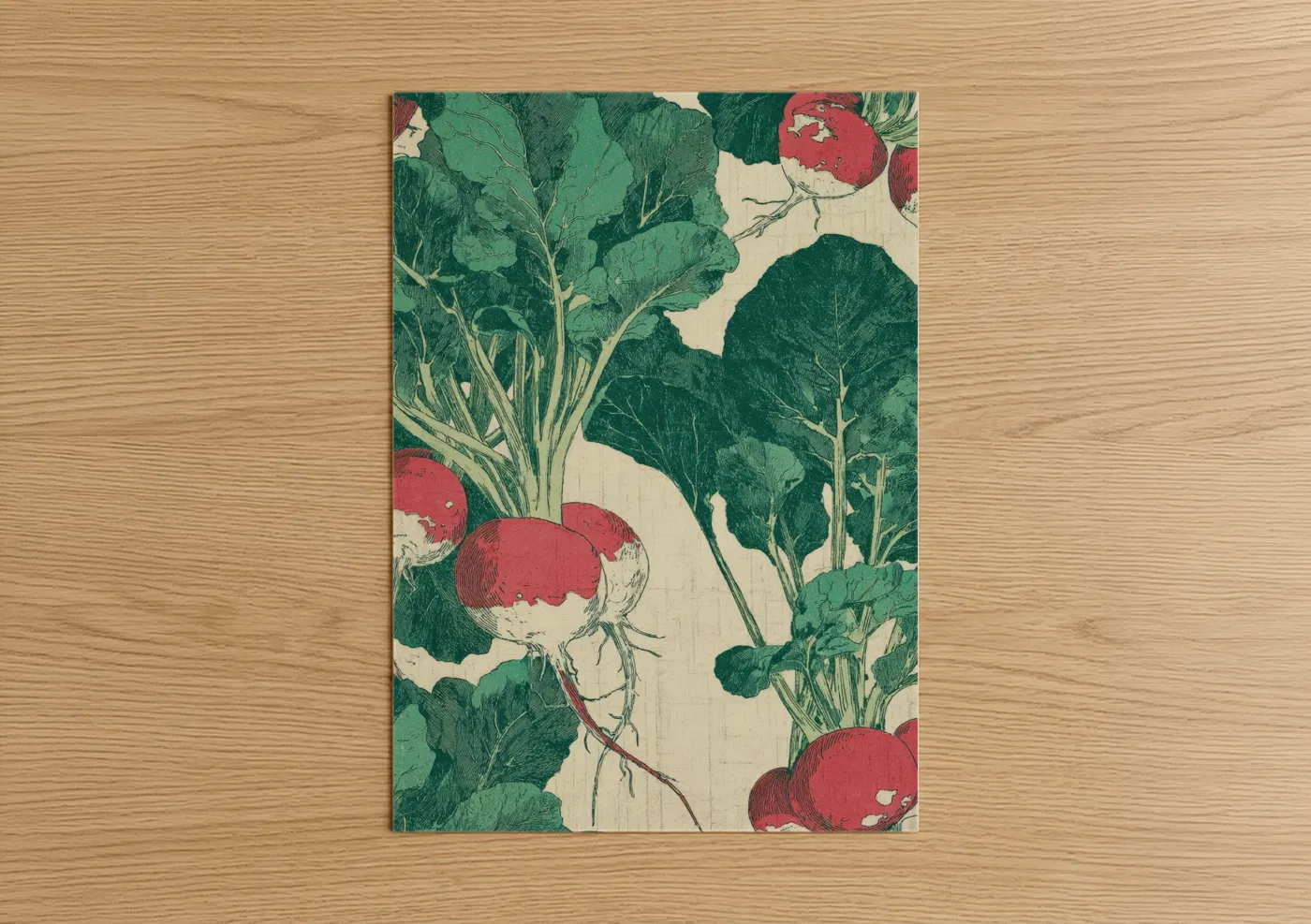 Garden Radish Harvest Botanical Illustration Wall Art