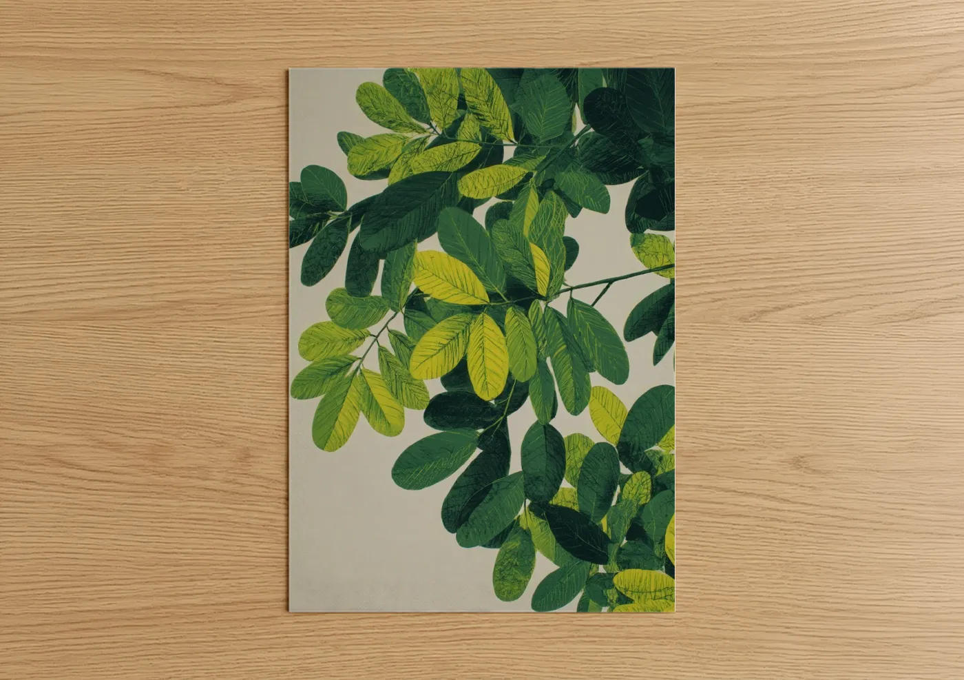 Sunlit Kauri Tree Leaves Botanical Wall Art