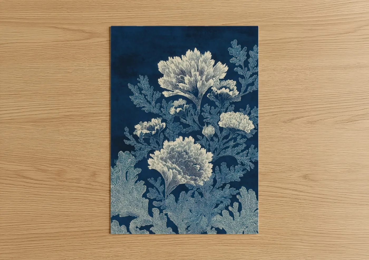 Cream Sea Anemone Botanical Illustration Wall Art