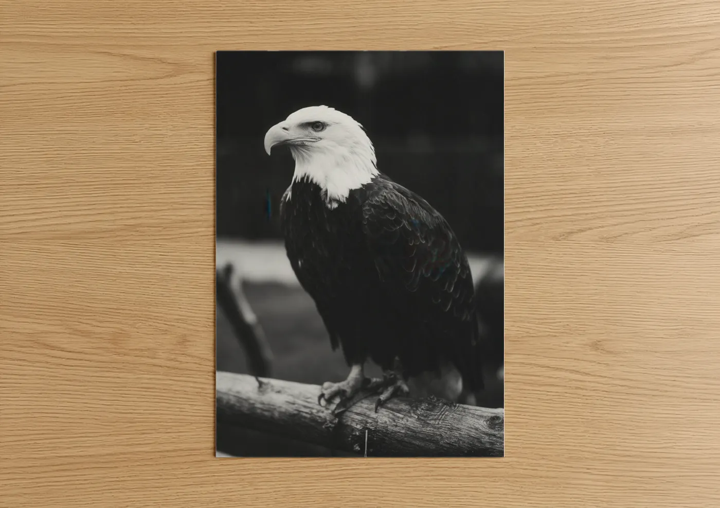 Art print on warm oak wood — black and white palette — Majestic Eagle Profile poster