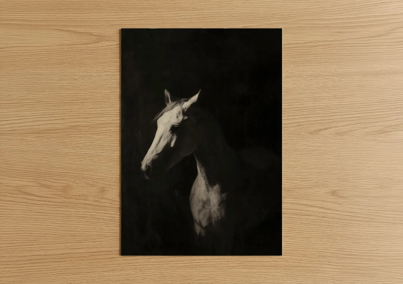 Ethereal Andalusian Horse Dark Portrait Wall Art