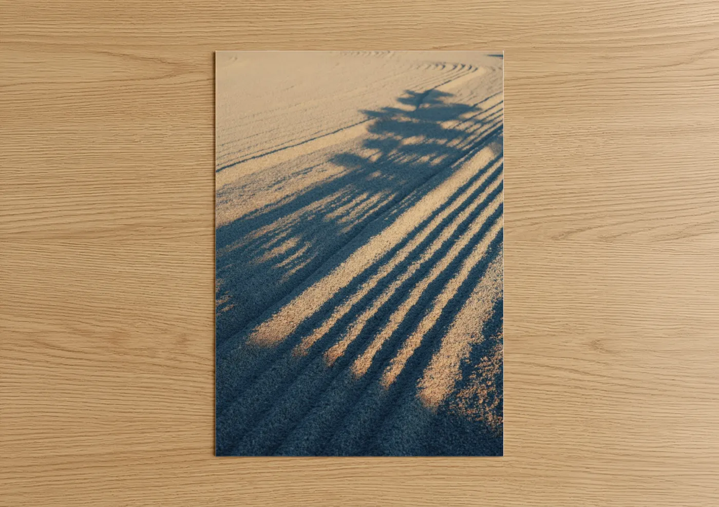 Golden Sunrise Shadow Landscape Photography Wall Art