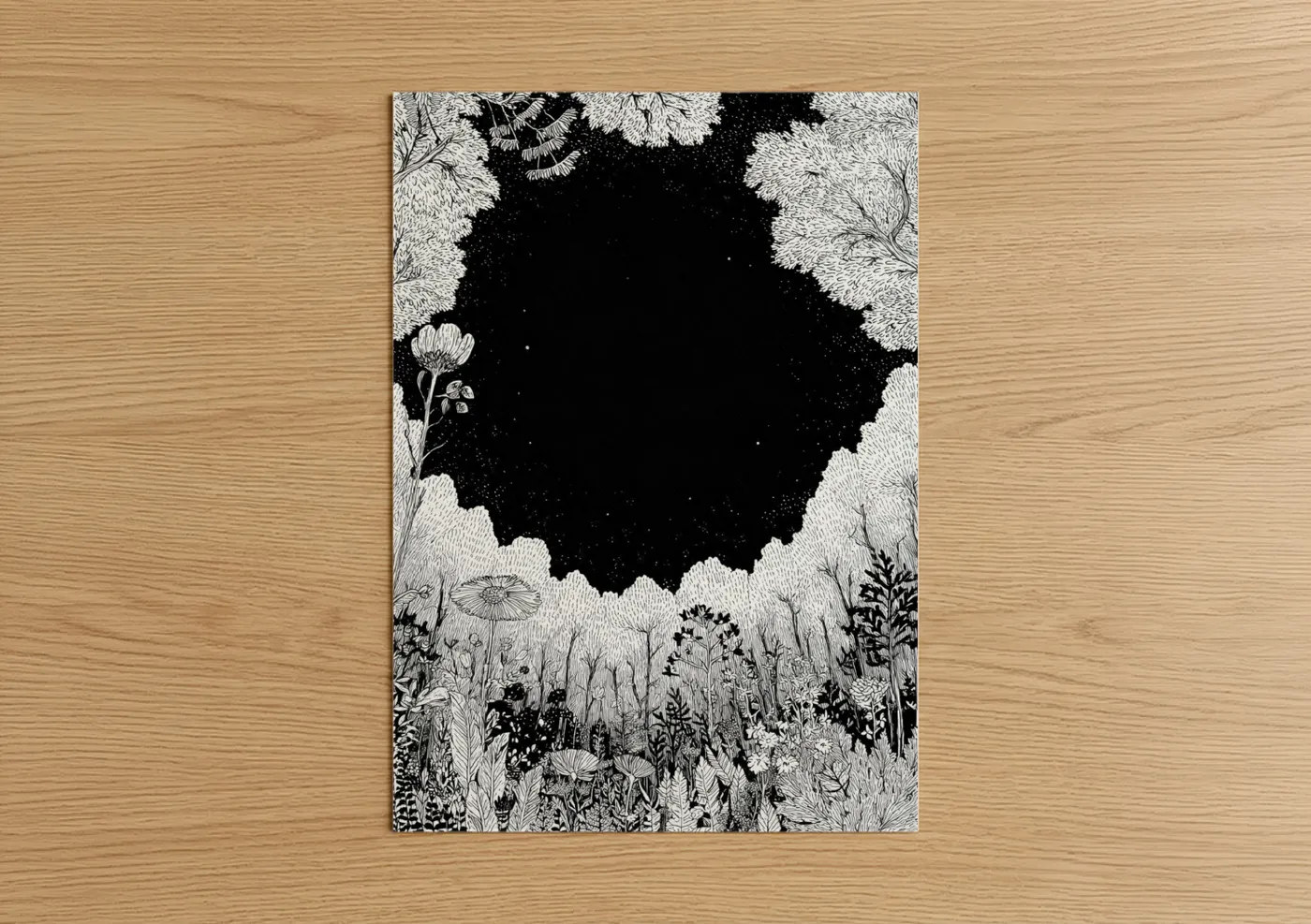 Night Sky Wildflower Garden Illustration Wall Art