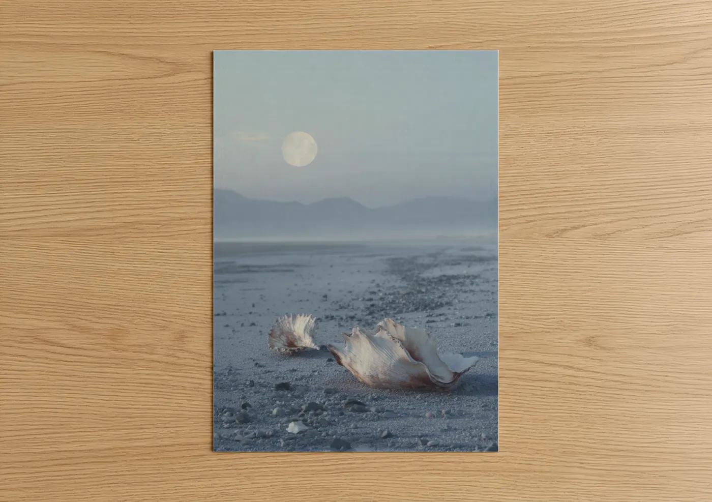 Moonlit Seashells Beach Sandy Shore Wall Art