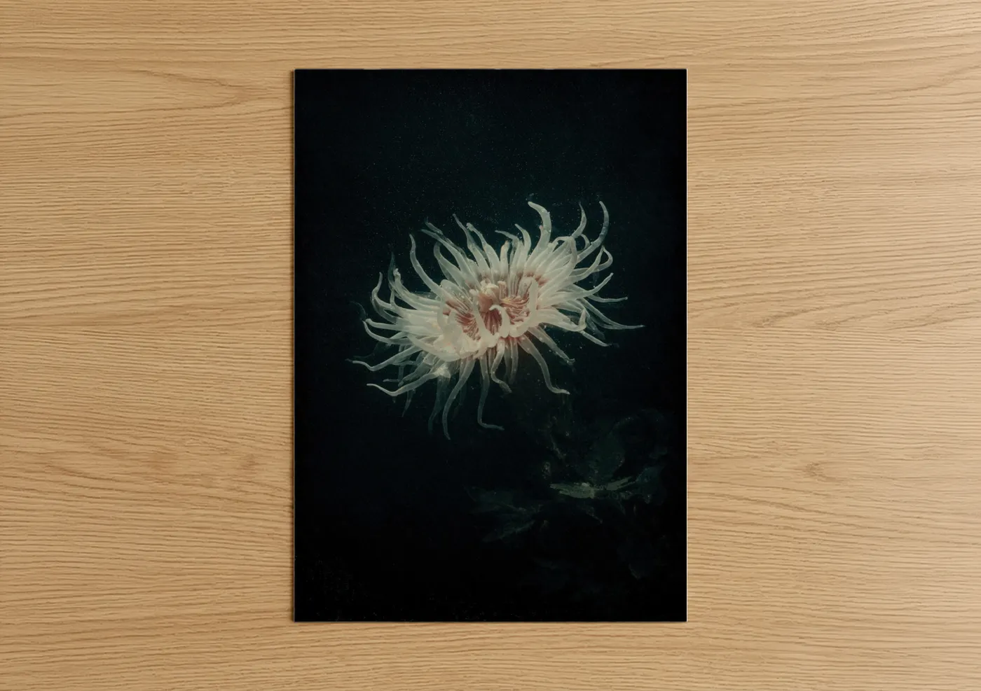 Art print on warm oak wood — blue and white and black and white palette — Luminous Sea Anemone poster