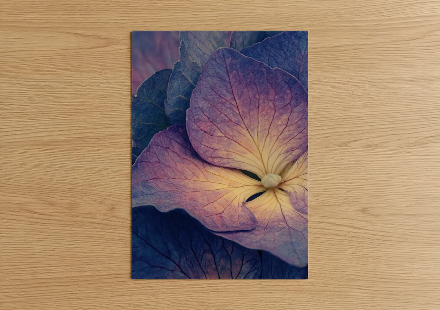 Twilight Hydrangea Flower Close-Up Wall Art