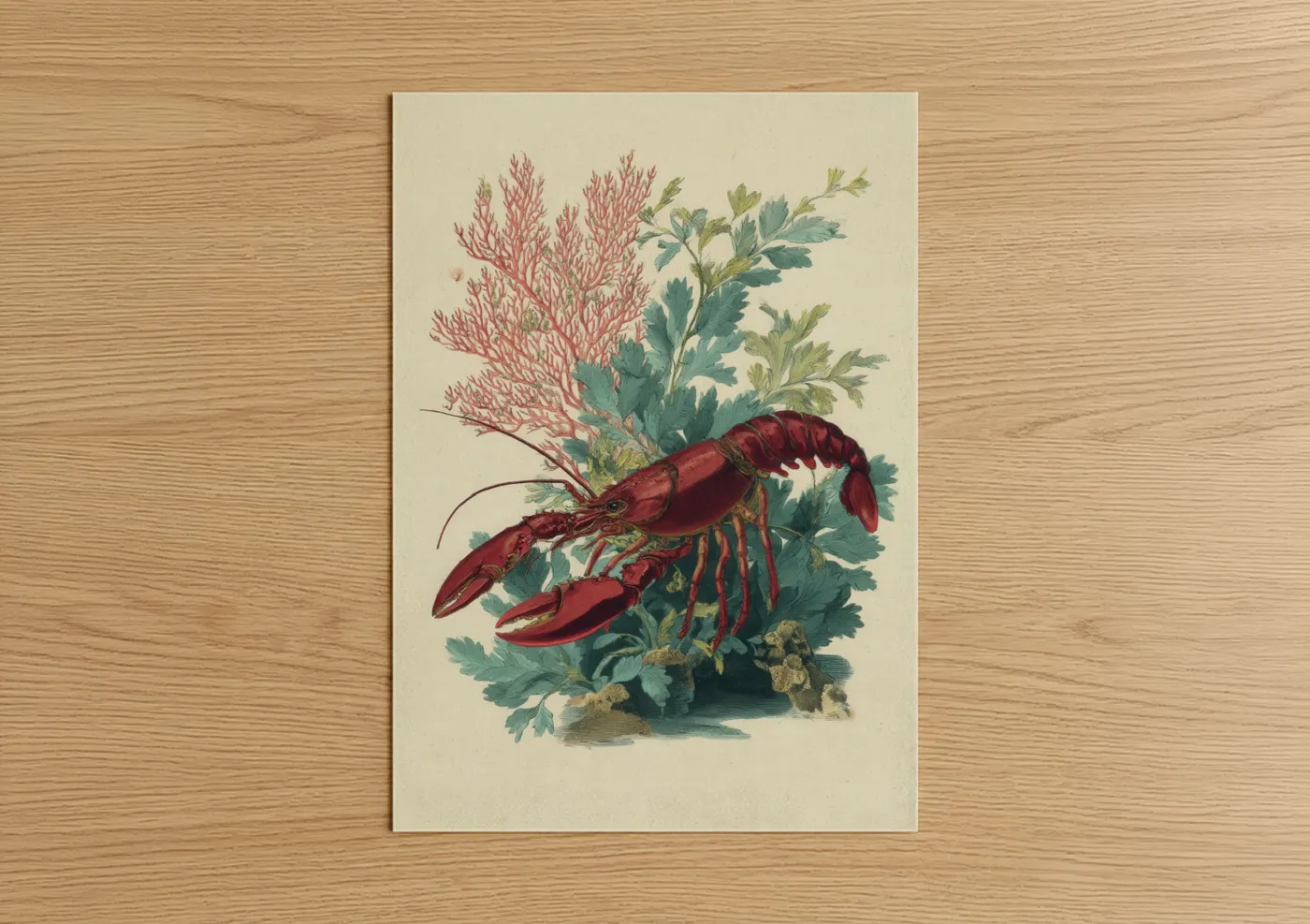 Art print on warm oak wood — red and cream palette — Crimson Lobster poster