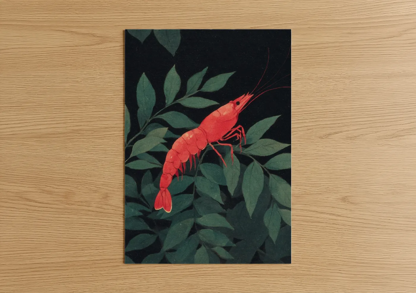 Scarlet Shrimp Botanical Illustration Wall Art