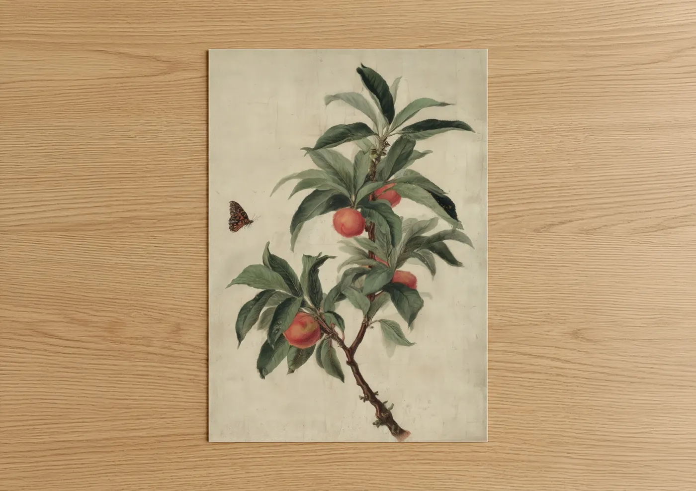 Peach Branch Botanical Art Illustration Wall Art