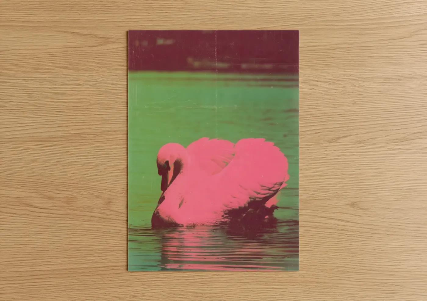 Pink Swan Reflection Water Wall Art