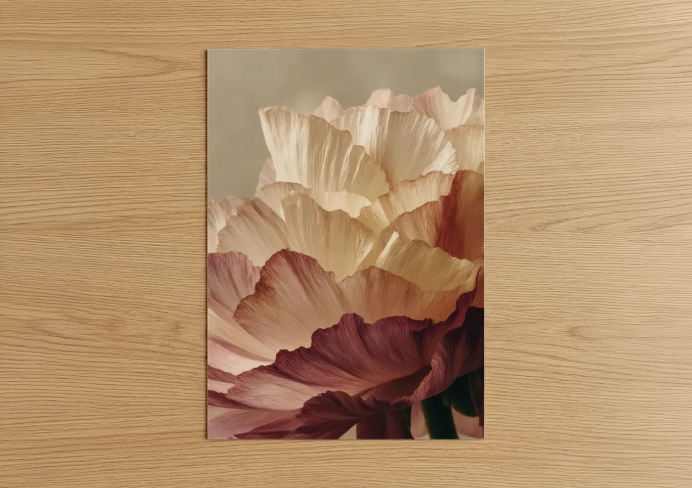 Blush Ranunculus Floral Fine Wall Art