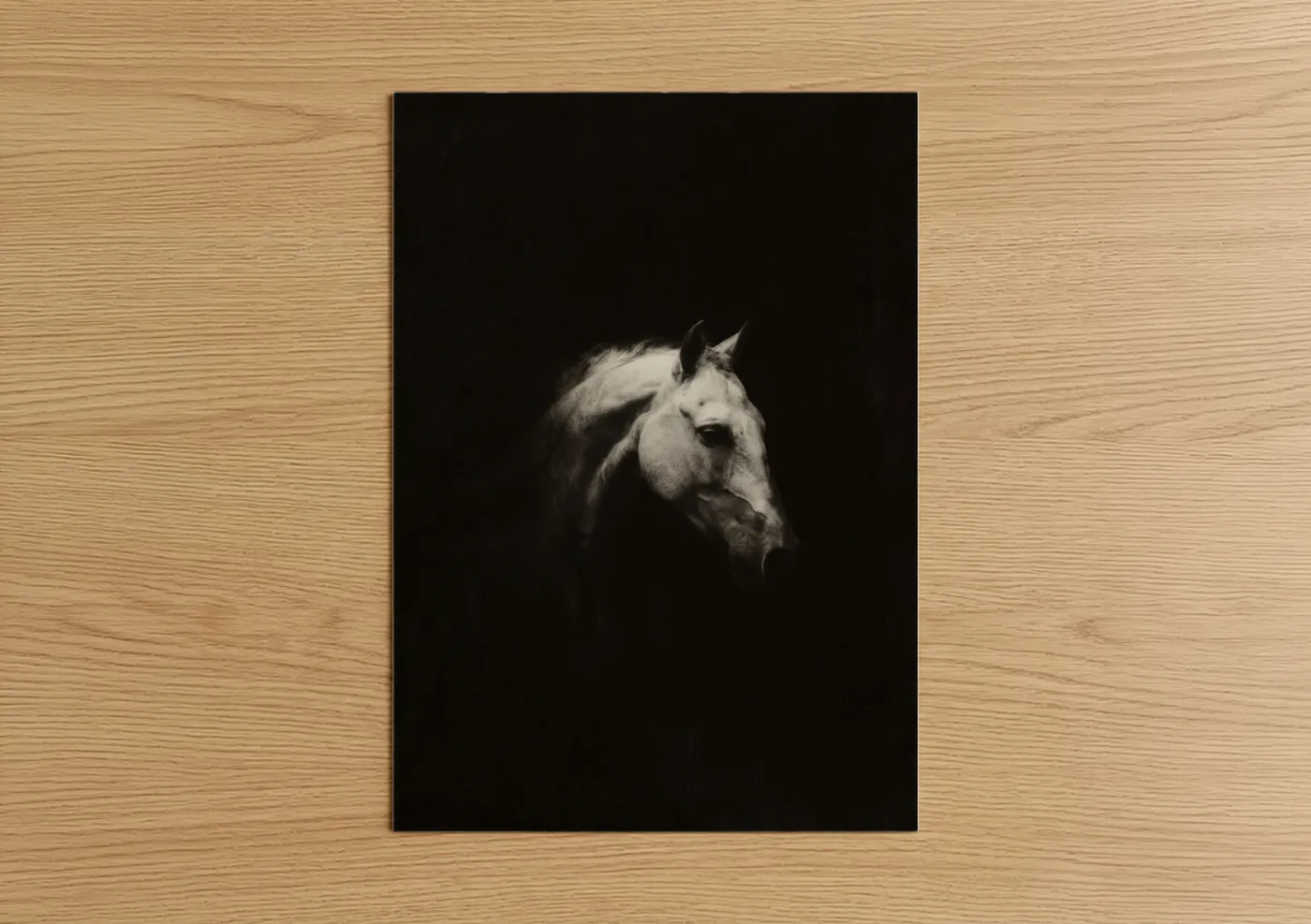 White Andalusian Horse Portrait Dark Background Wall Art