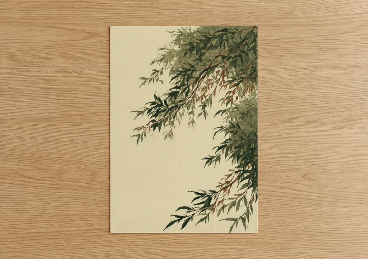 Willow Branches Botanical Art Print Wall Art