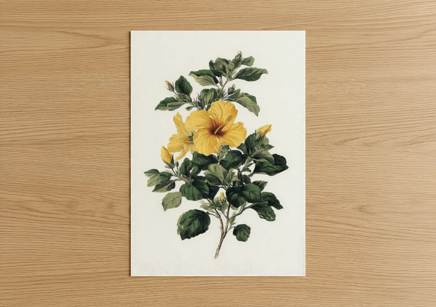 Golden Hibiscus Botanical Illustration Wall Art