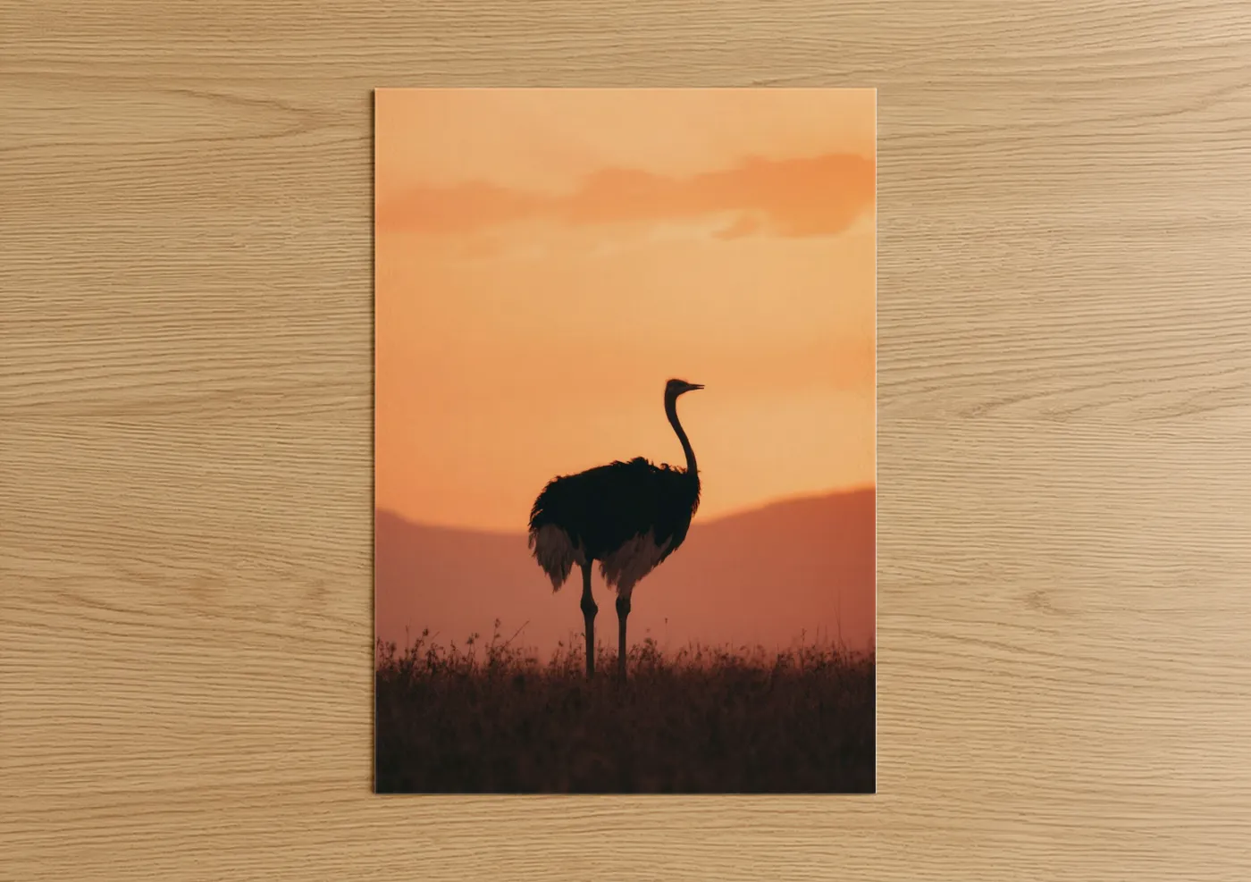 Ostrich Silhouette Golden Hour Sunset Wall Art