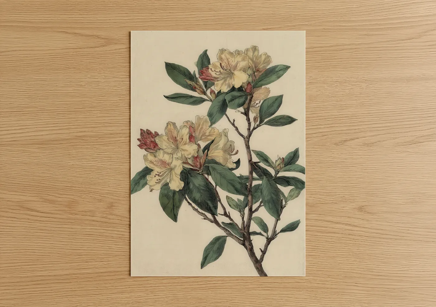 Art print on warm oak wood — cream and dark green palette — Vintage Rhododendron poster