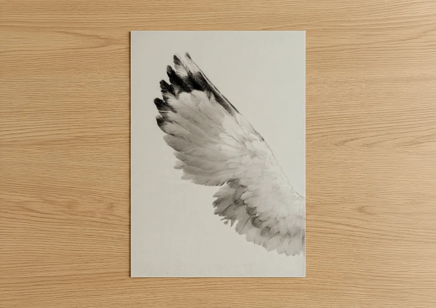 Art print on warm oak wood — black and white and gray palette — Ascending Seagull poster
