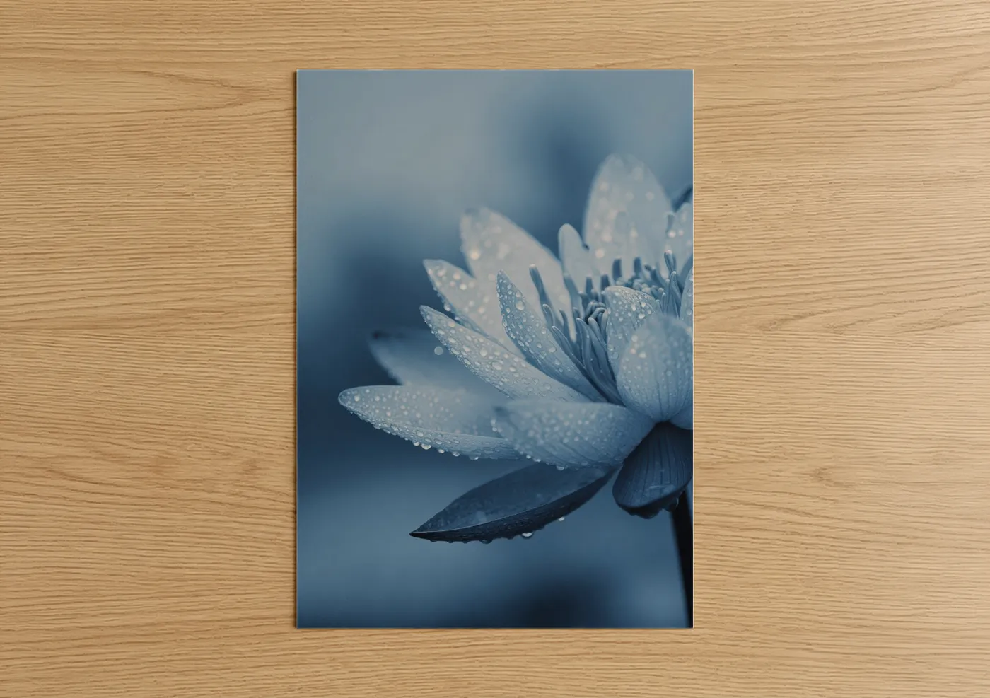 Blue Lotus with Morning Dewdrops Wall Art