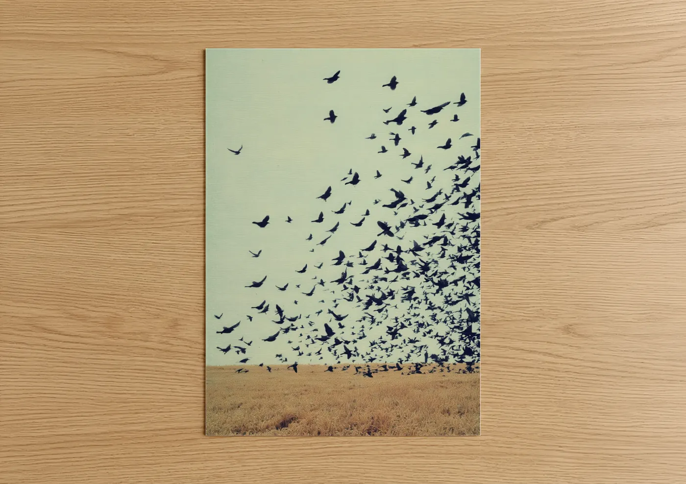 Flock of Birds Flying Desert Landscape Wall Art