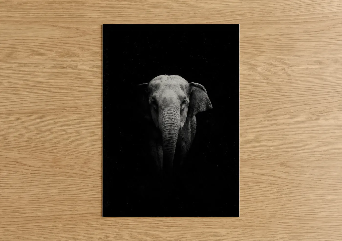 Asian elephant art print on warm oak wood — black and white and gray palette — Solitary Elephant poster