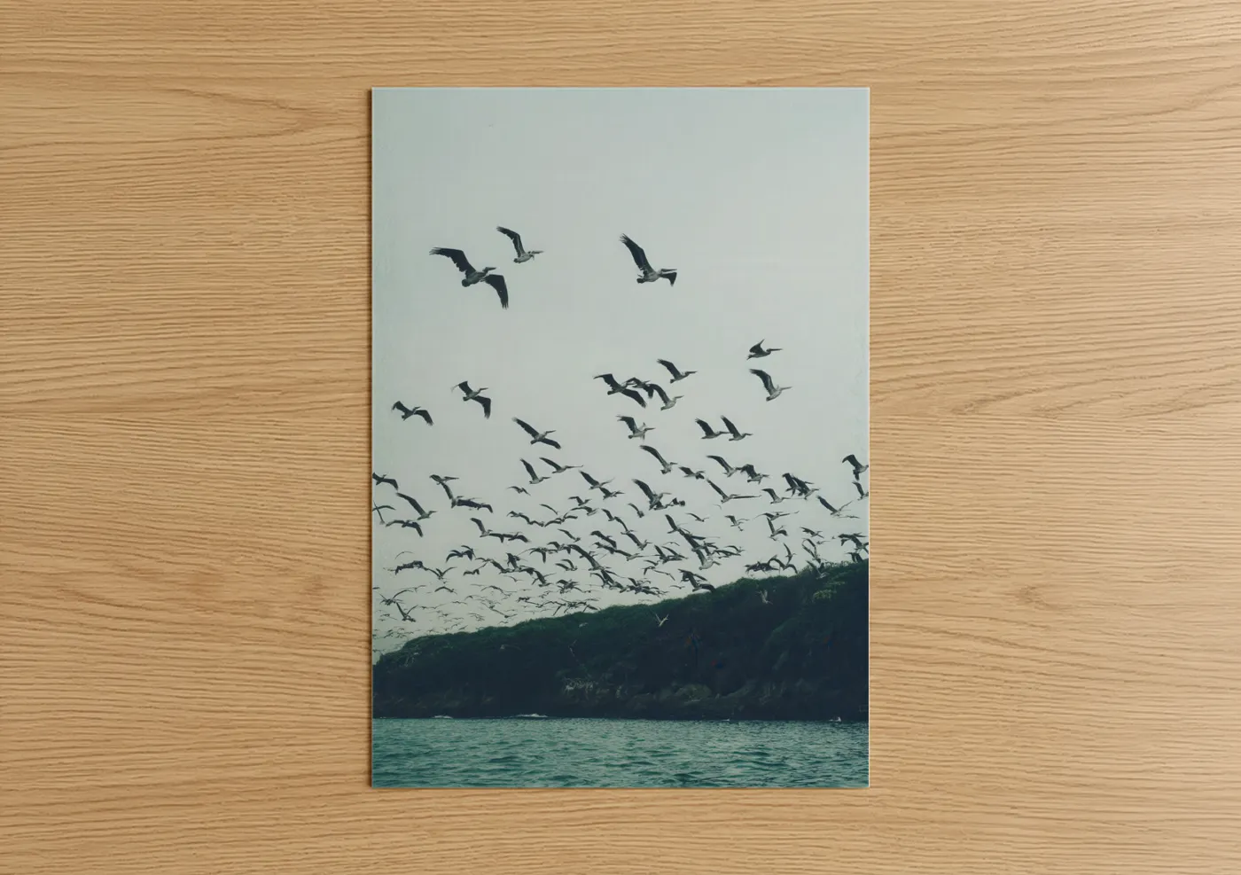 Art print on warm oak wood — gray and white and teal palette — Coastal Pelican Flight poster