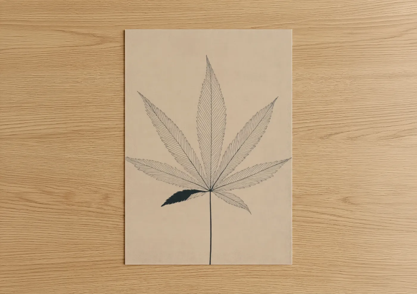 Botanical Cannabis Line Art Illustration Wall Art