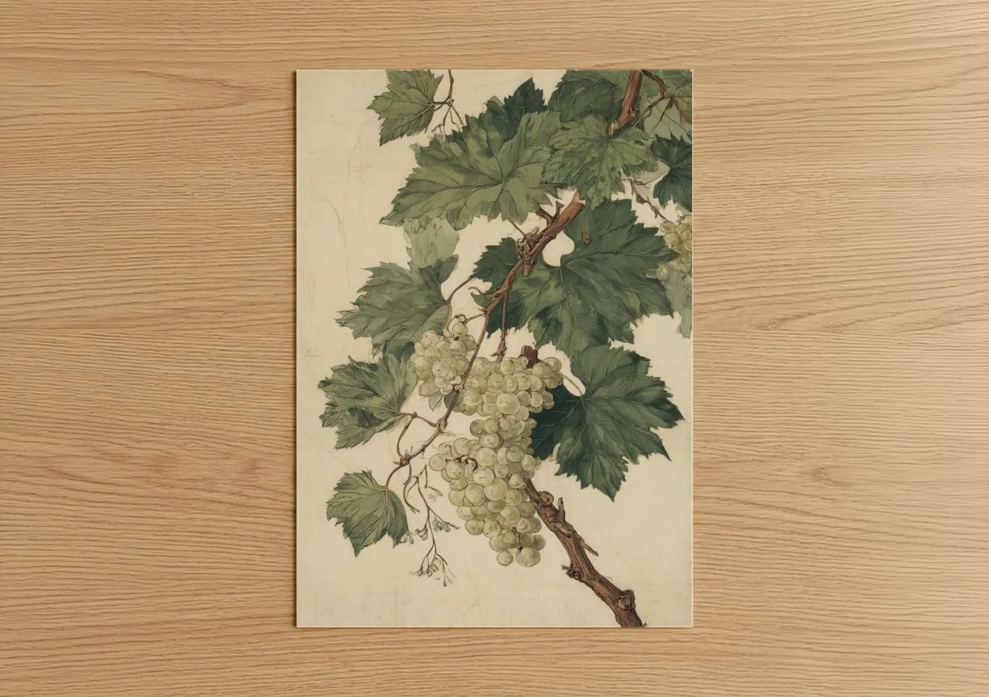 Vineyards art print on warm oak wood — cream and dark green palette — White Grape Vine poster