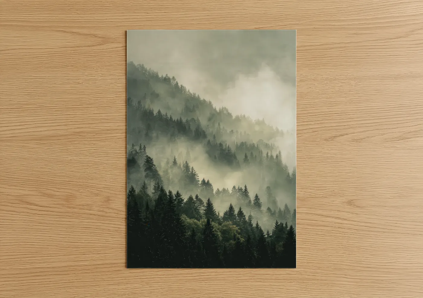 Misty Pine Forest Morning Mist Wall Art