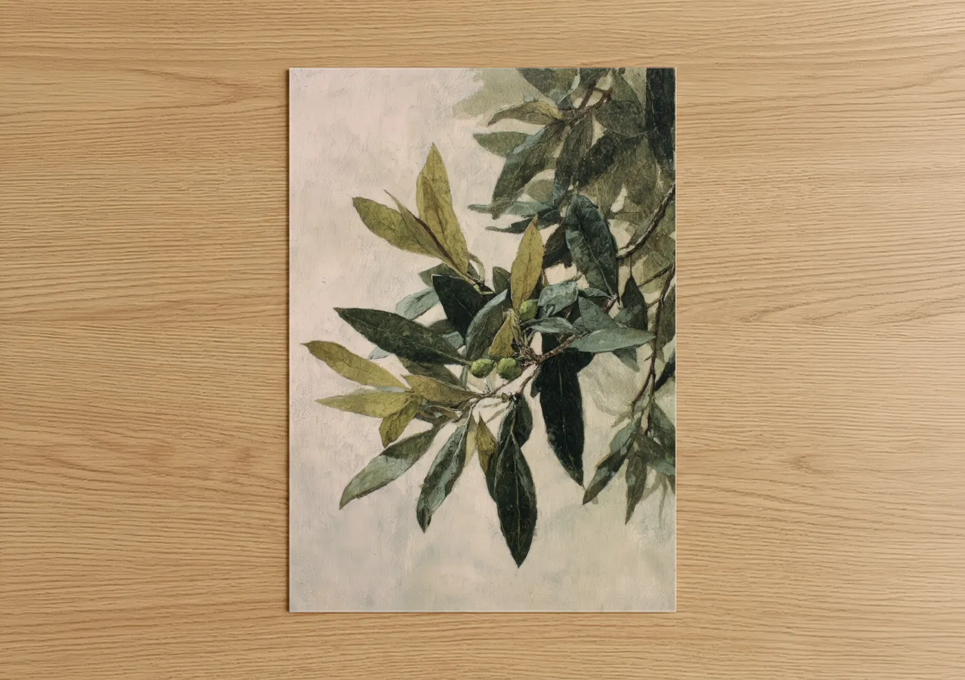 Olive Tree Watercolor Botanical Wall Art