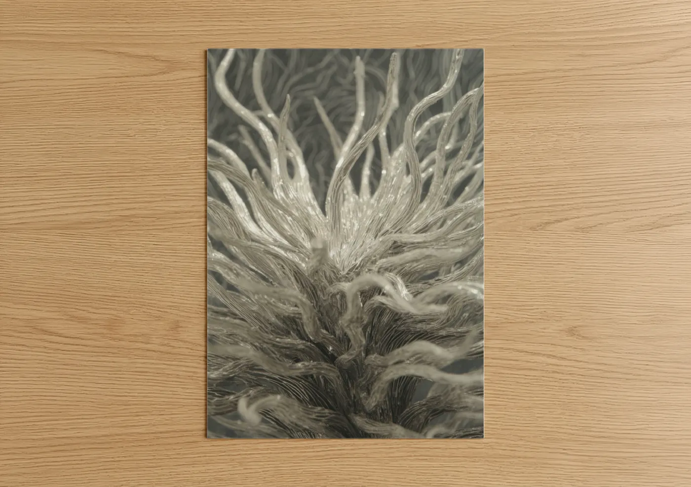 Ethereal Sea Anemone Monochrome Wall Art
