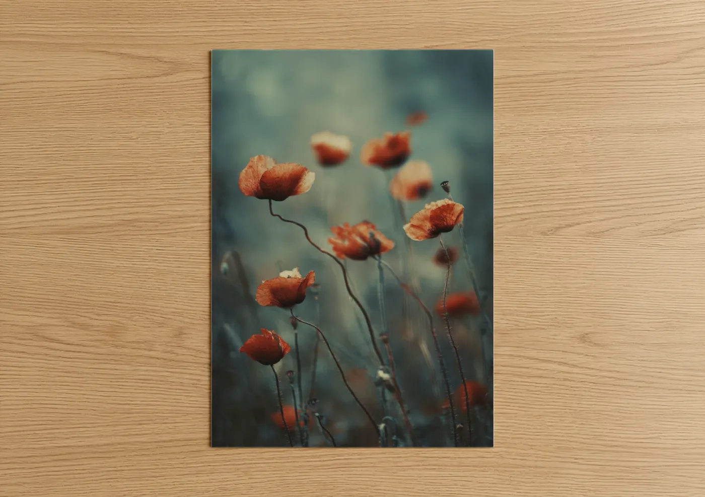 Red Poppies Soft Focus Floral Photography Wall Art