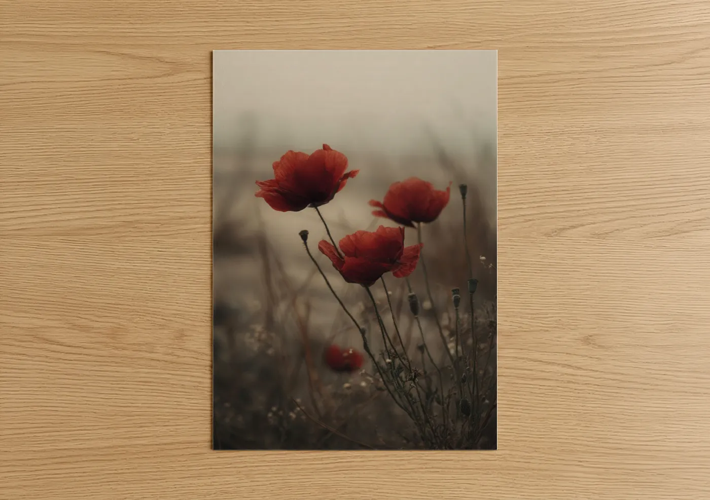 Misty Red Poppies in Fog Wall Art